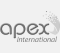 Apex-Logo-Gray