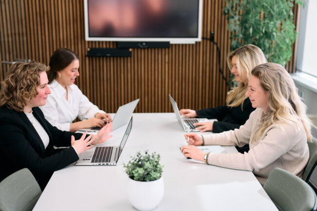 Support in local transfer pricing audits